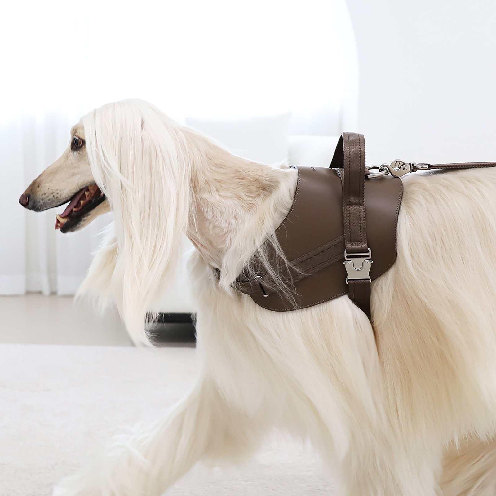 Saddle Harness Mocha – Premium Adjustable Saddle Harness for Dogs | Glawn™ - Image 4