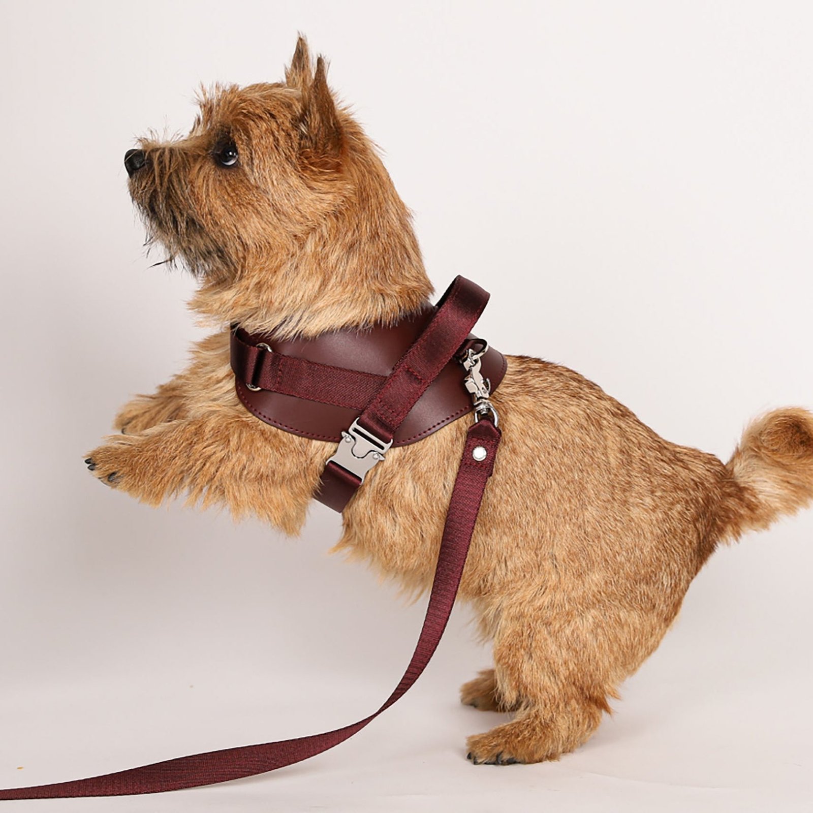 Saddle Harness Burgundy – Premium Adjustable Saddle Harness for Dogs | Glawn™ - Image 5