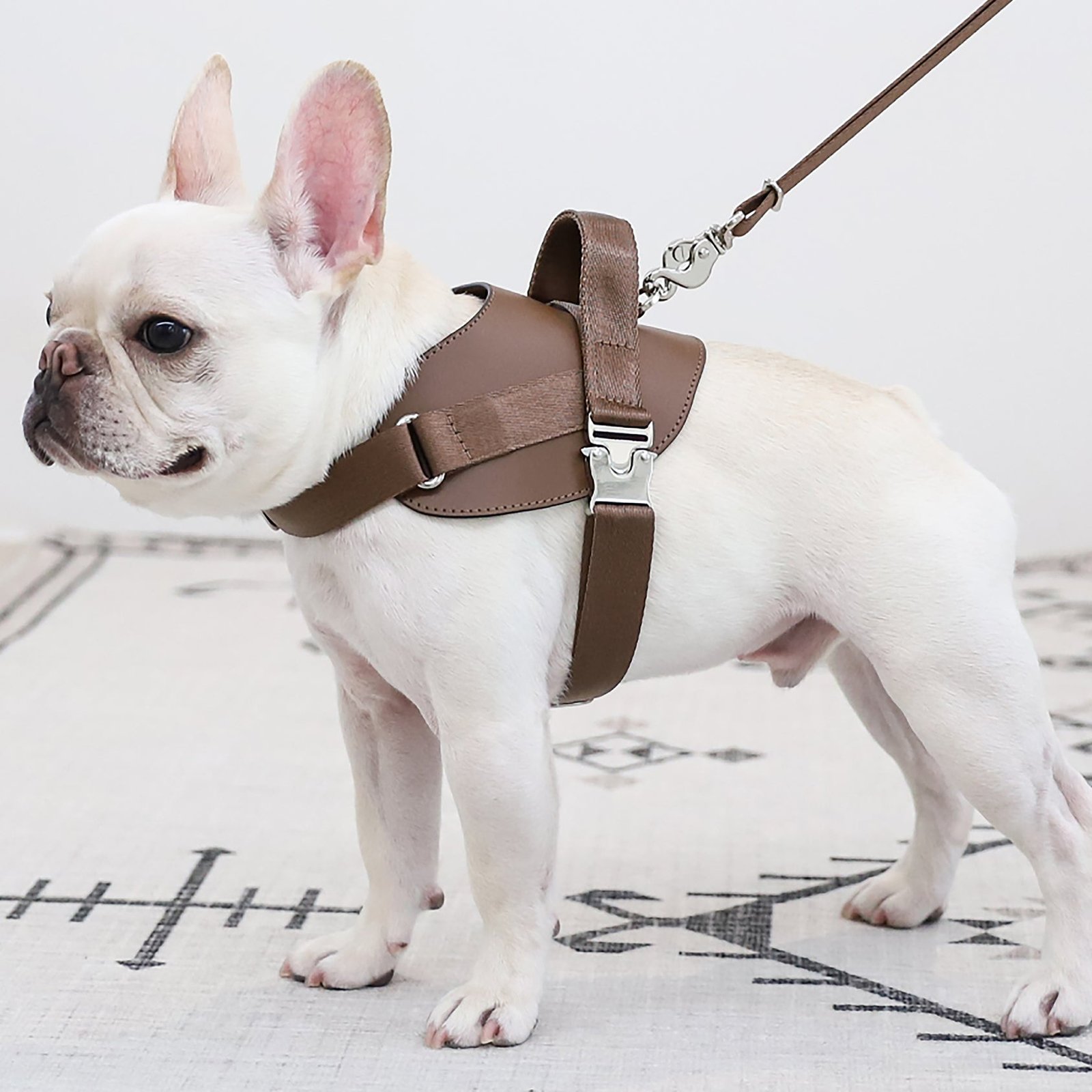 Saddle Harness Mocha – Premium Adjustable Saddle Harness for Dogs | Glawn™ - Image 3