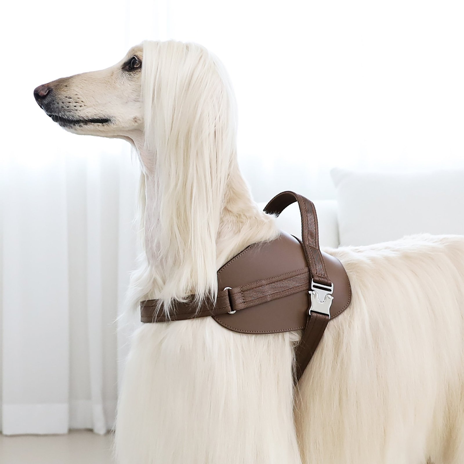 Saddle Harness Mocha – Premium Adjustable Saddle Harness for Dogs | Glawn™ - Image 6