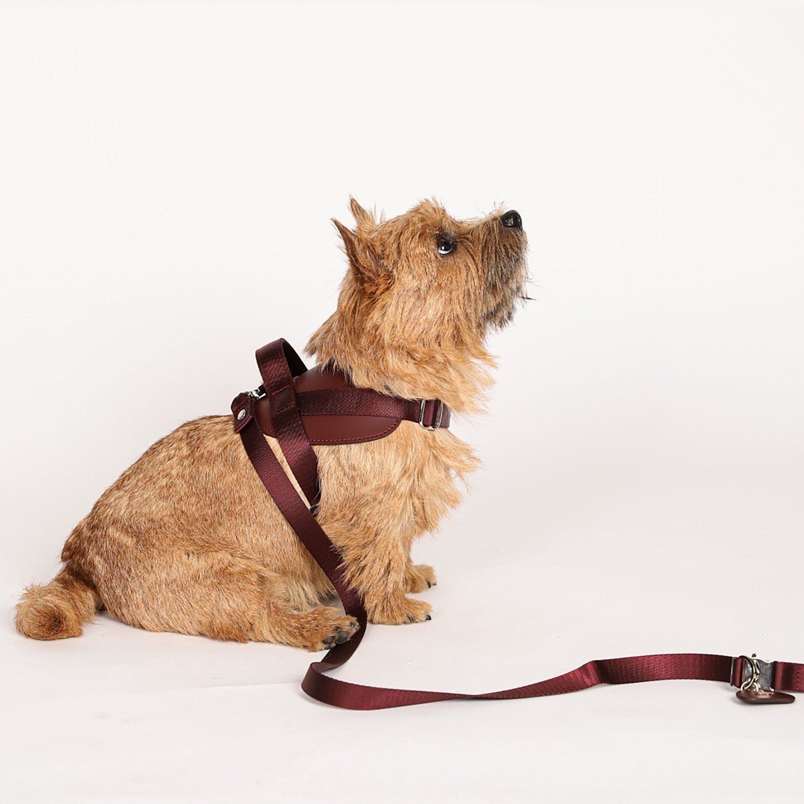 Saddle Harness Burgundy – Premium Adjustable Saddle Harness for Dogs | Glawn™ - Image 6