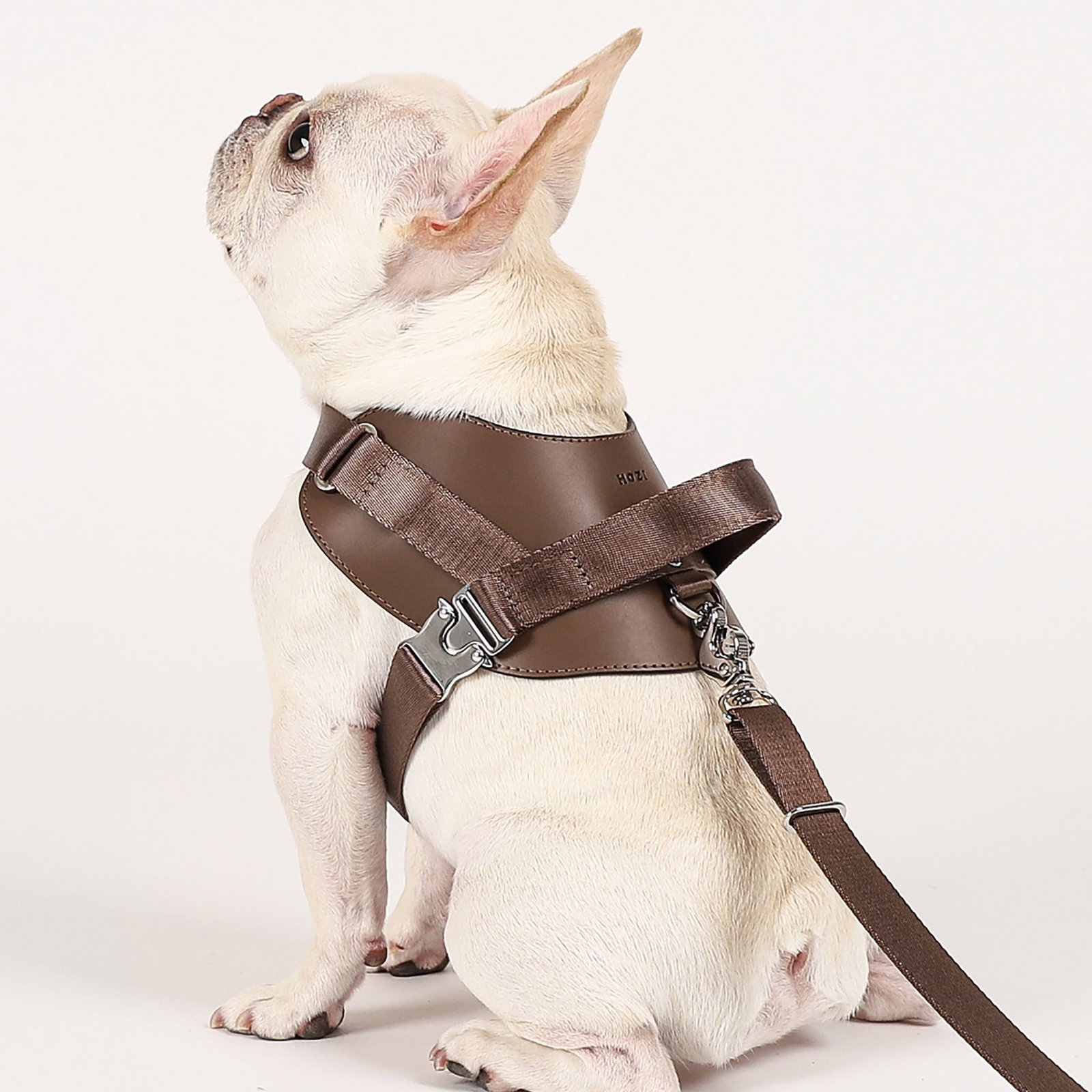 Saddle Harness Mocha – Premium Adjustable Saddle Harness for Dogs | Glawn™ - Image 5