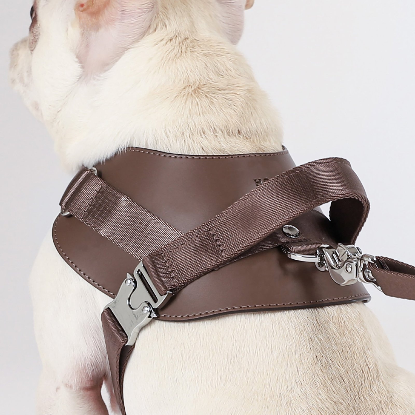 Saddle Harness Mocha – Premium Adjustable Saddle Harness for Dogs | Glawn™ - Image 8