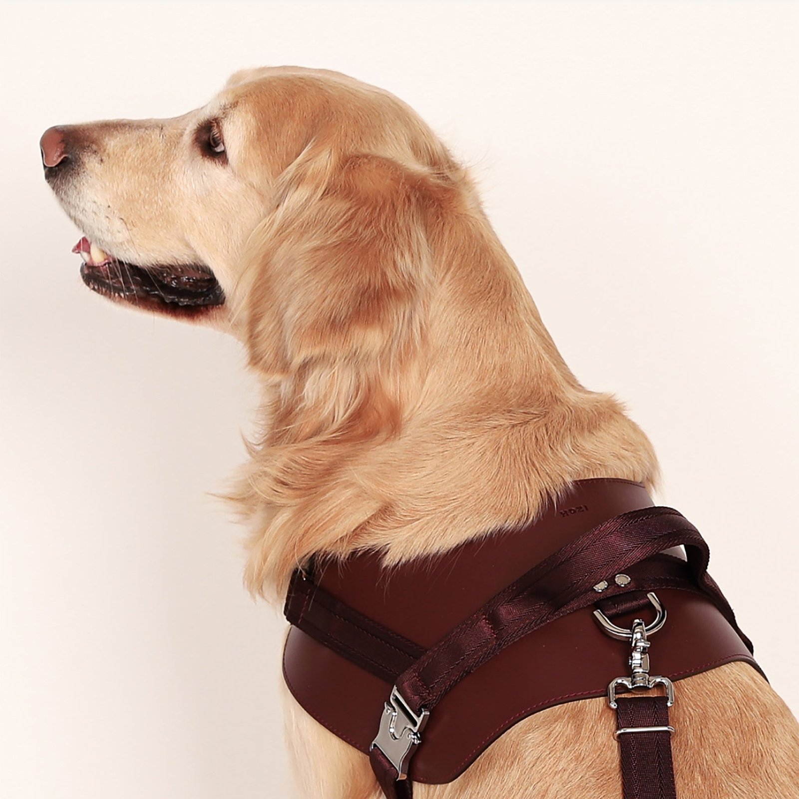 Saddle Harness Burgundy – Premium Adjustable Saddle Harness for Dogs | Glawn™ - Image 8