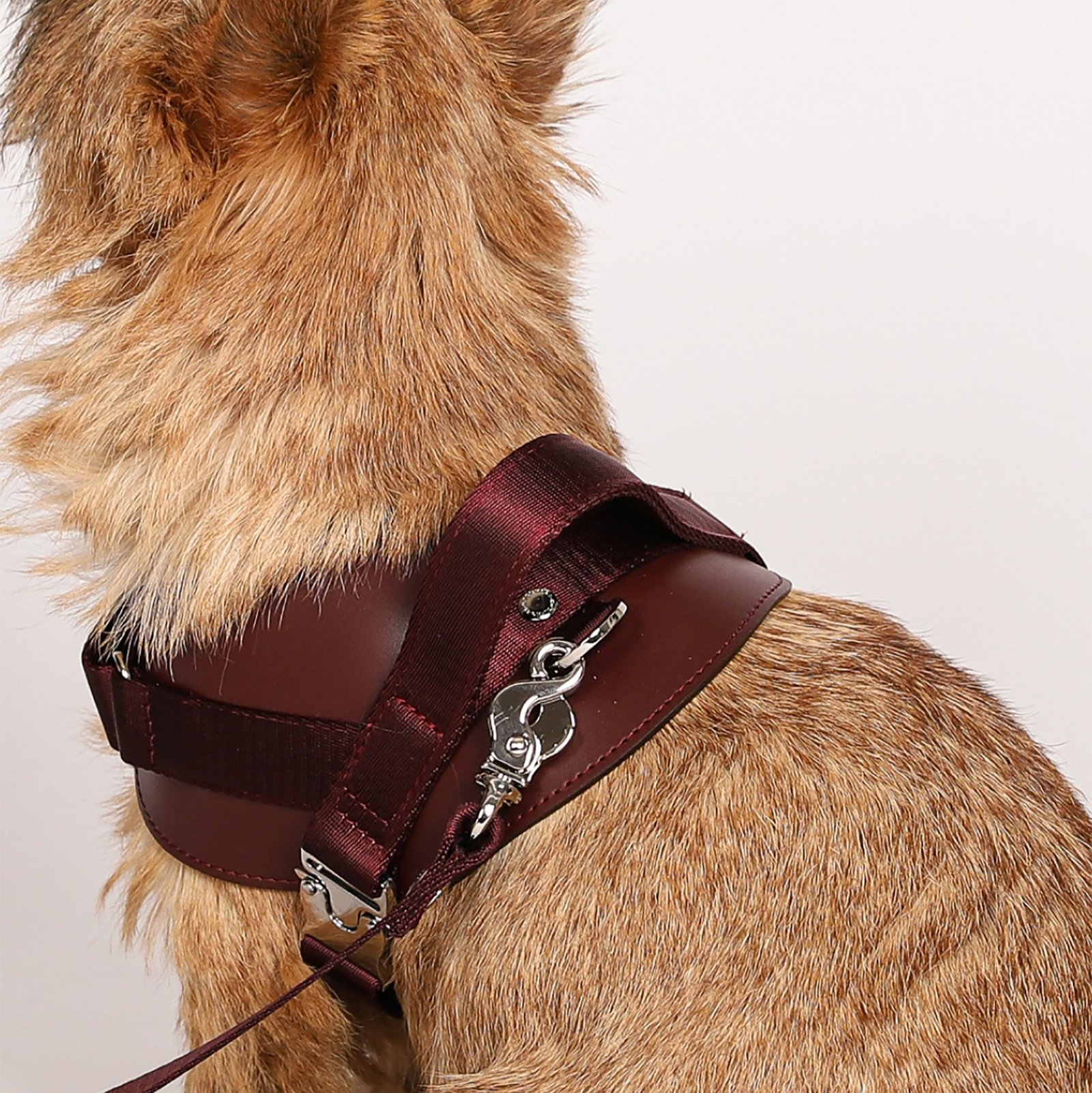 Saddle Harness Burgundy – Premium Adjustable Saddle Harness for Dogs | Glawn™ - Image 9