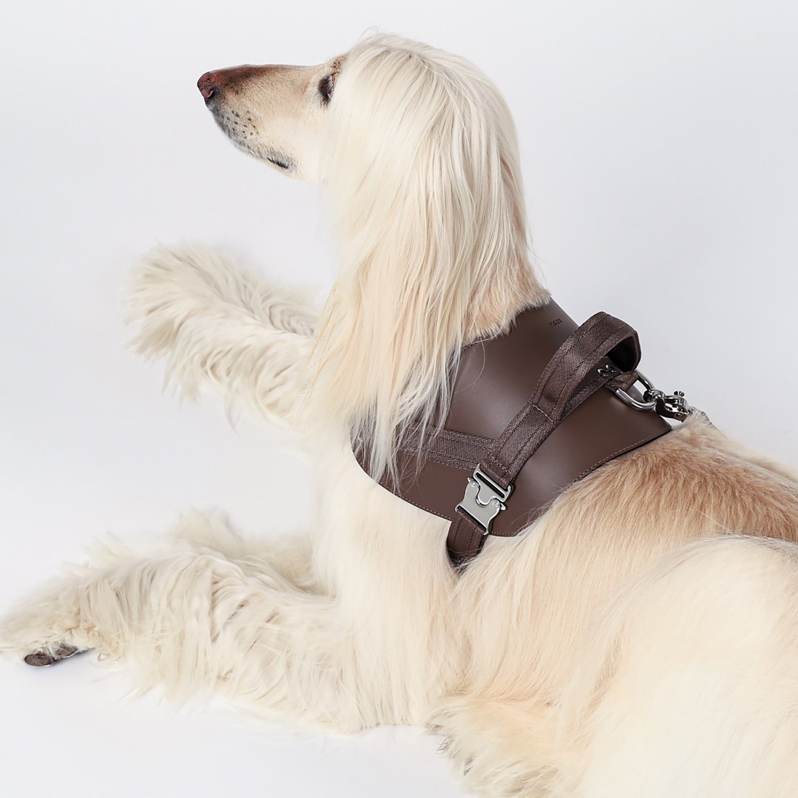 Saddle Harness Mocha – Premium Adjustable Saddle Harness for Dogs | Glawn™ - Image 12