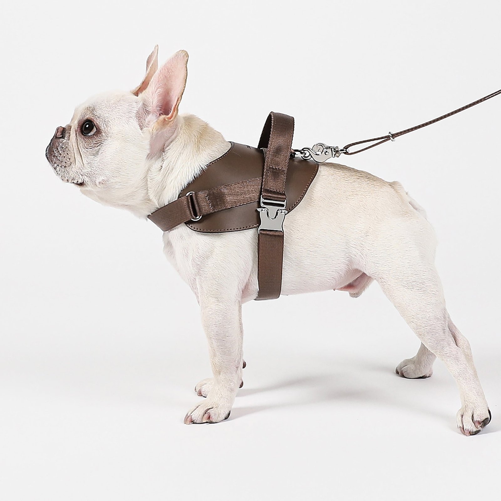Saddle Harness Mocha – Premium Adjustable Saddle Harness for Dogs | Glawn™ - Image 21