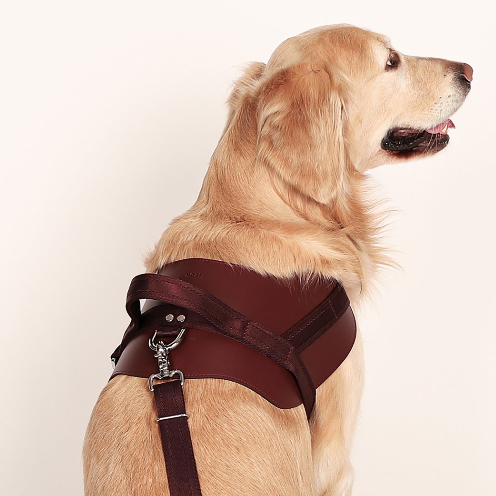 Saddle Harness Burgundy – Premium Adjustable Saddle Harness for Dogs | Glawn™ - Image 11