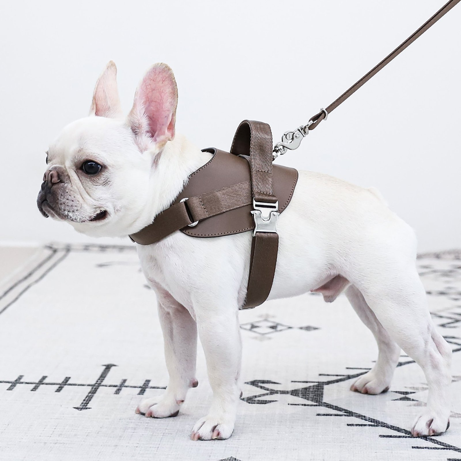 Saddle Harness Mocha – Premium Adjustable Saddle Harness for Dogs | Glawn™ - Image 16