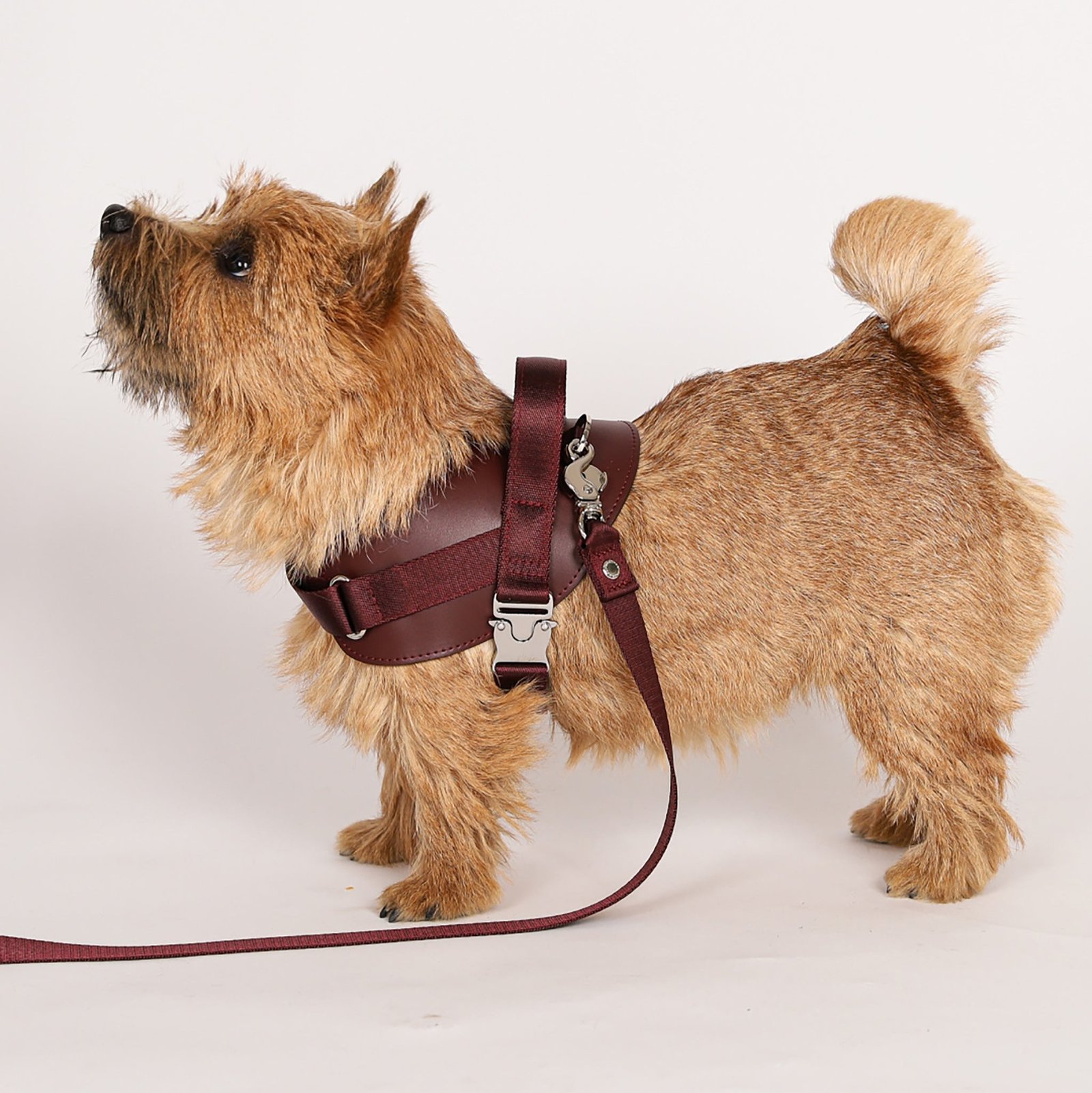 Saddle Harness Burgundy – Premium Adjustable Saddle Harness for Dogs | Glawn™ - Image 15