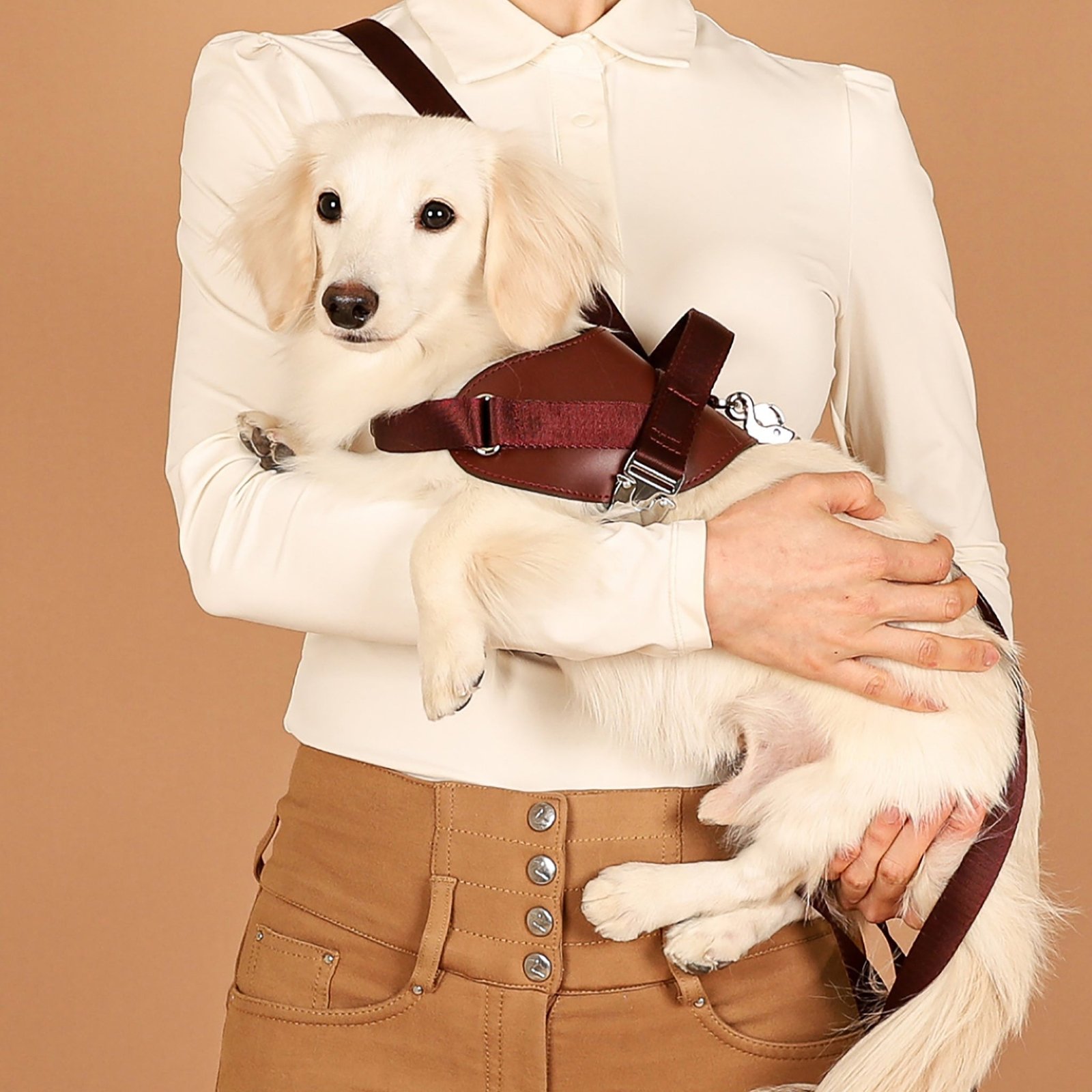 Saddle Harness Burgundy – Premium Adjustable Saddle Harness for Dogs | Glawn™ - Image 16