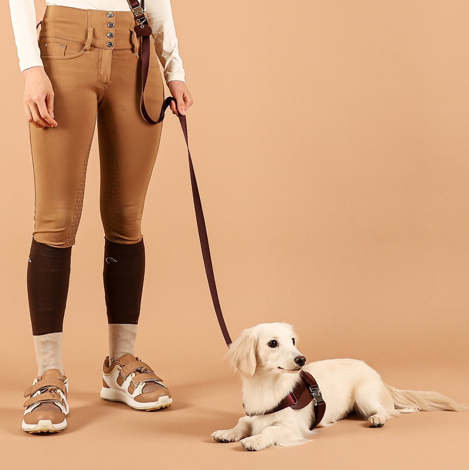 Saddle Harness Burgundy – Premium Adjustable Saddle Harness for Dogs | Glawn™ - Image 17