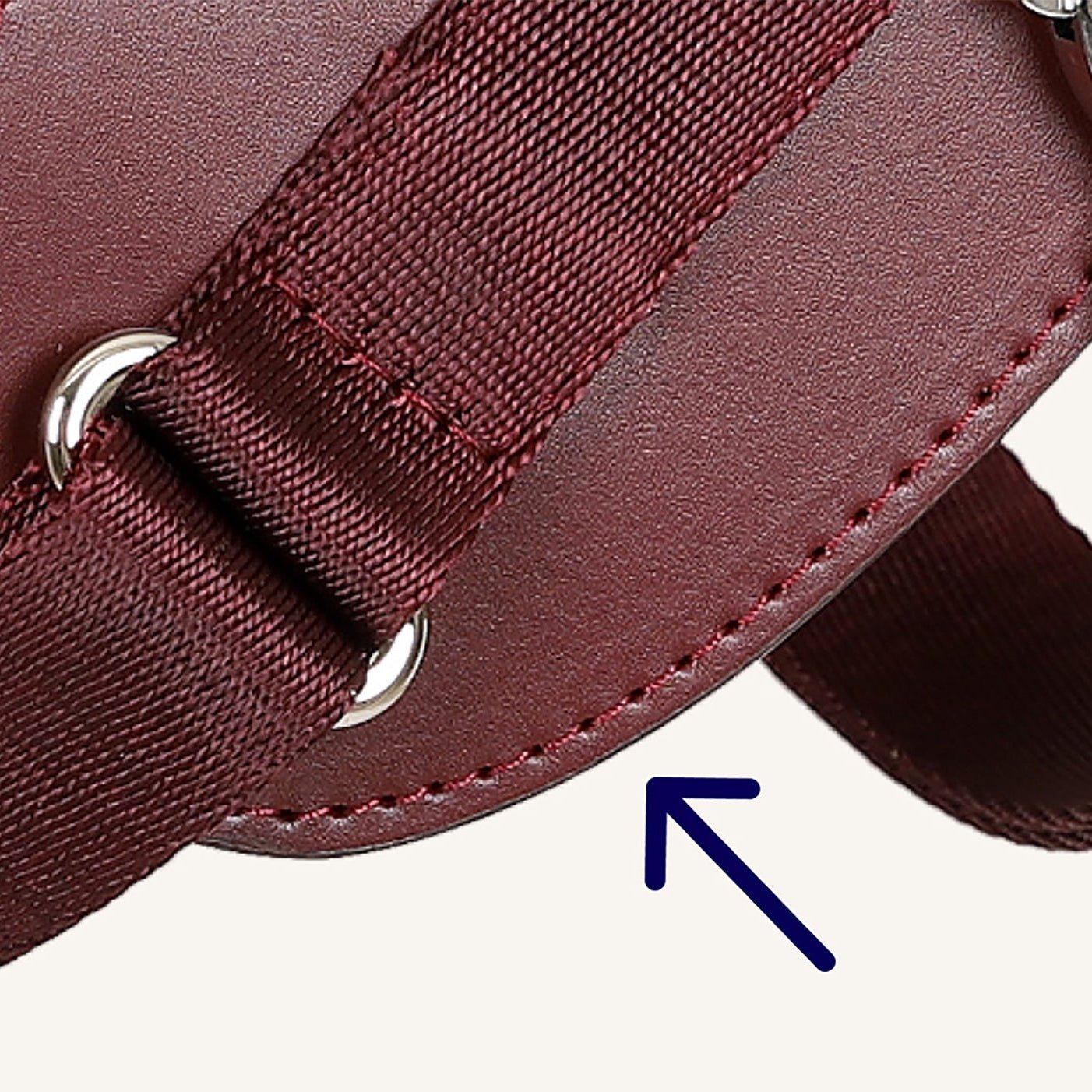 Saddle Harness Burgundy – Premium Adjustable Saddle Harness for Dogs | Glawn™ - Image 19