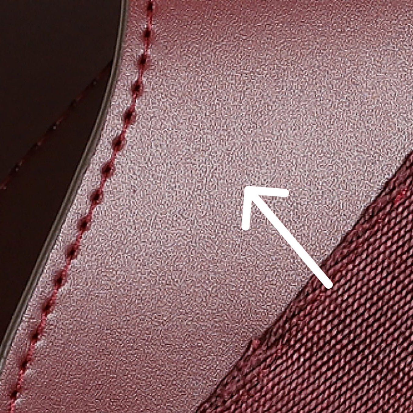 Saddle Harness Burgundy – Premium Adjustable Saddle Harness for Dogs | Glawn™ - Image 27