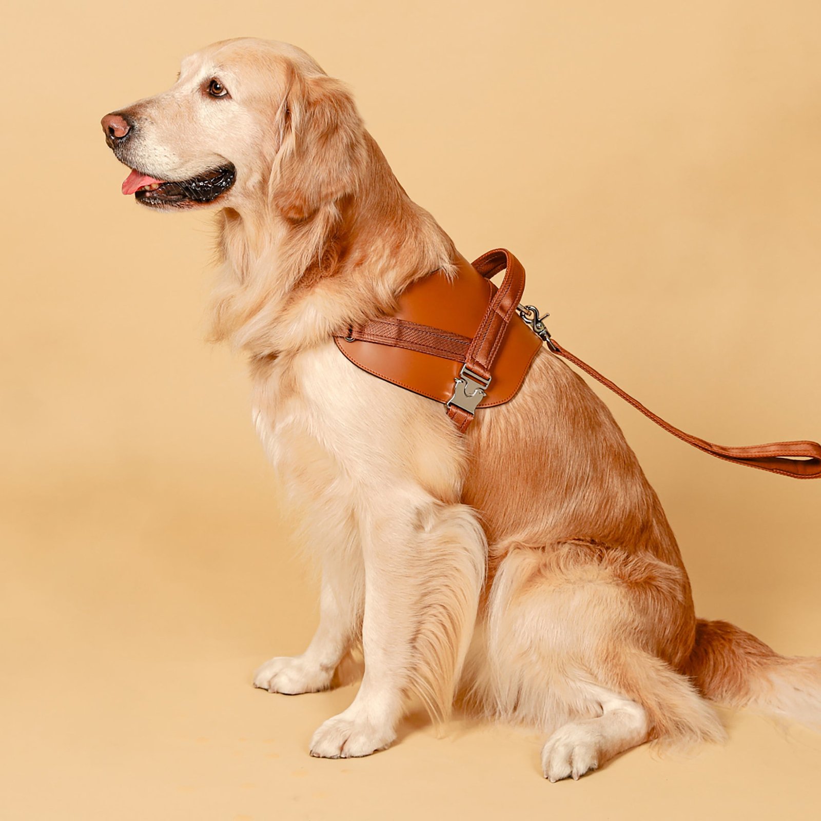 Saddle Harness Camel – Premium Adjustable Saddle Harness for Dogs | Glawn™ - Image 26
