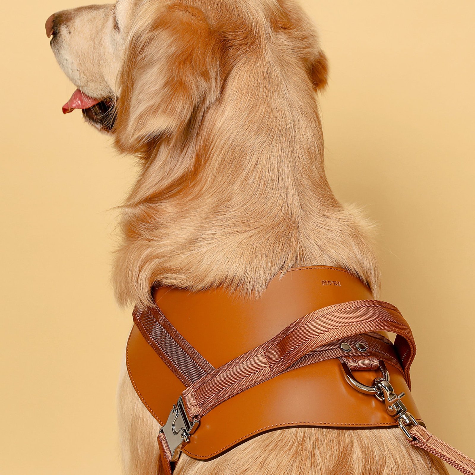 Saddle Harness Camel – Premium Adjustable Saddle Harness for Dogs | Glawn™ - Image 20