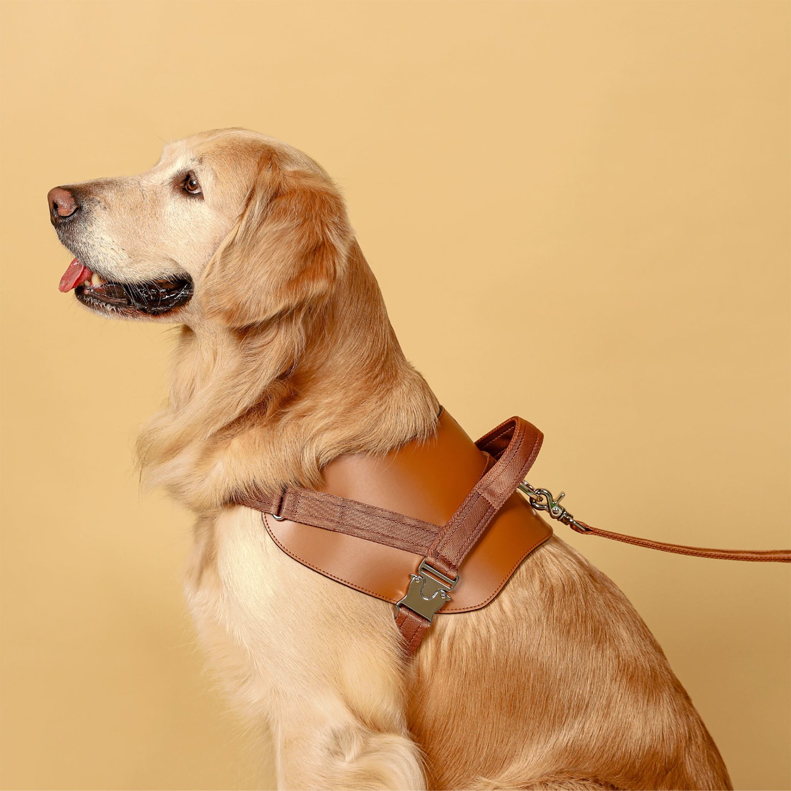 Saddle Harness Camel – Premium Adjustable Saddle Harness for Dogs | Glawn™ - Image 6