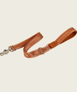 Camel Adjustable Short Dog Leash – Durable Nylon, Auto-Locking Clip, Soft Handle