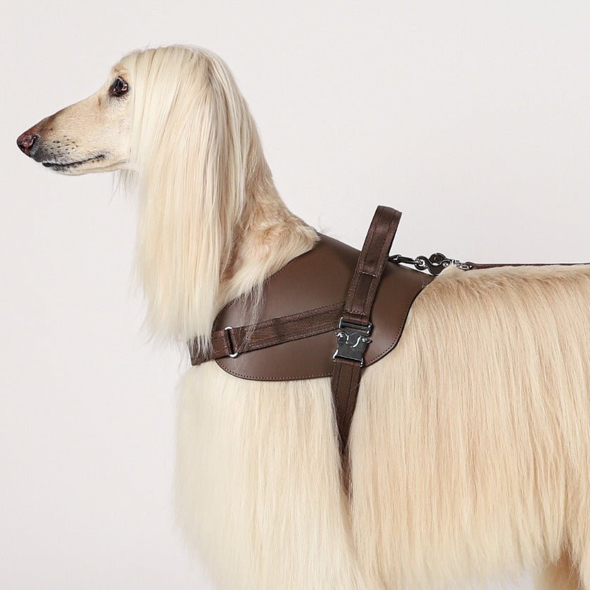 Saddle Harness Mocha – Premium Adjustable Saddle Harness for Dogs | Glawn™ - Image 2