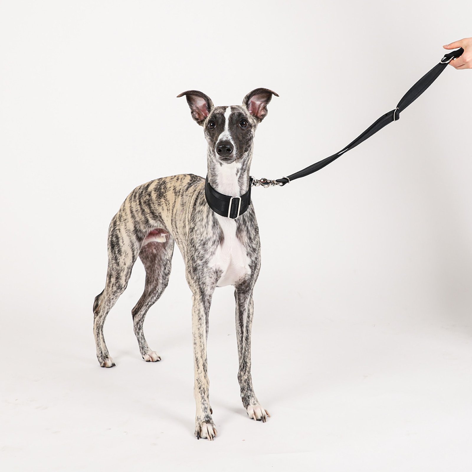 Black Adjustable Short Dog Leash – Durable Nylon, Auto-Locking Clip, Soft Handle - Image 2