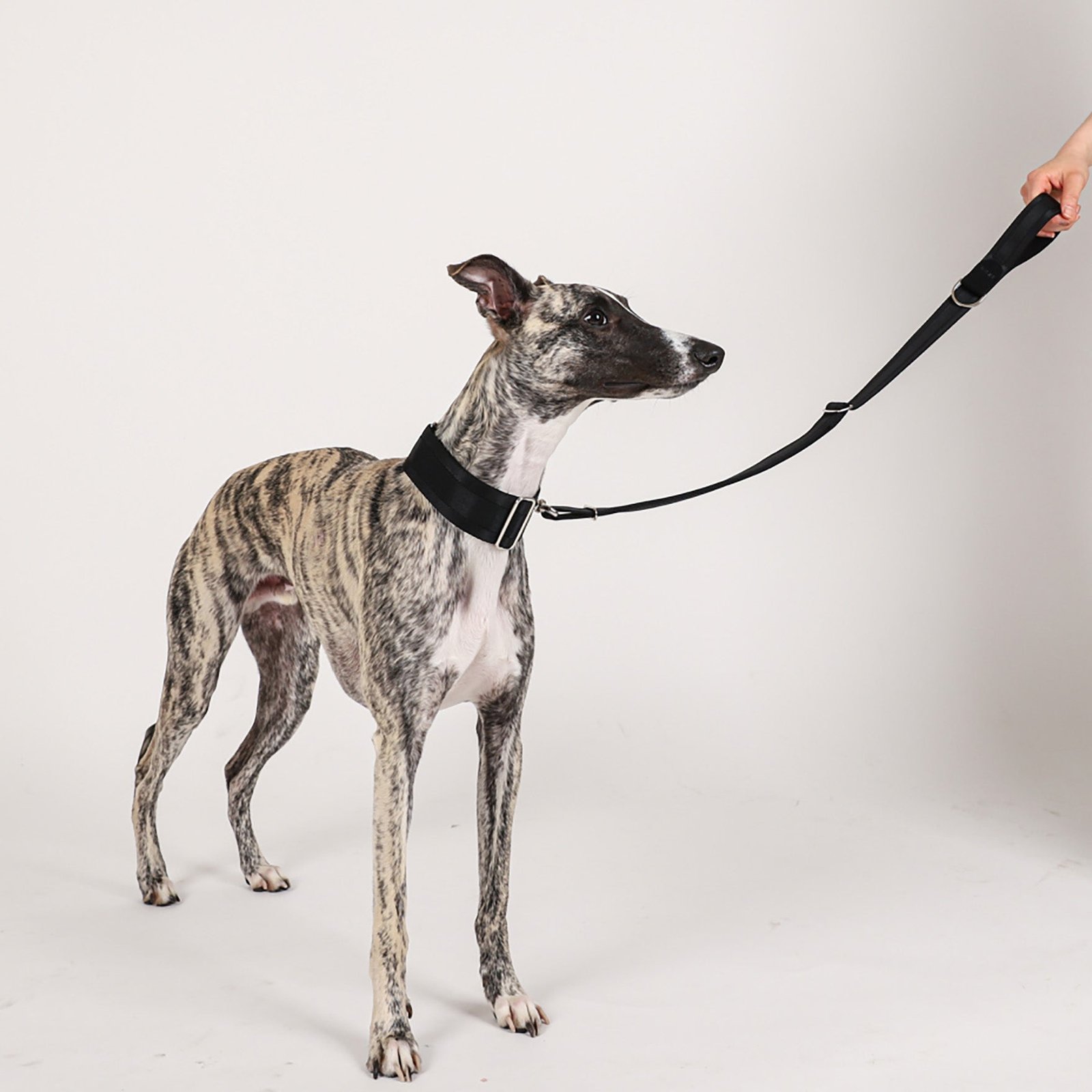 Black Adjustable Short Dog Leash – Durable Nylon, Auto-Locking Clip, Soft Handle - Image 6