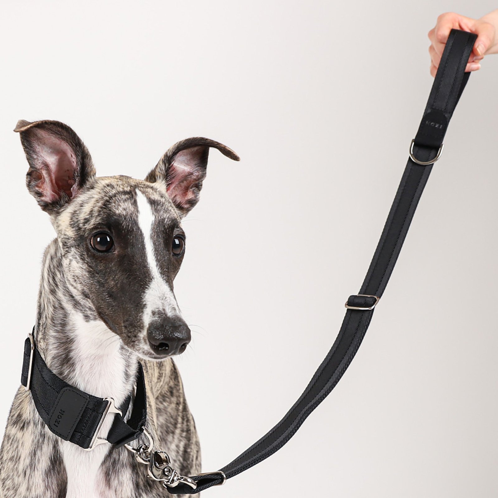 Black Adjustable Short Dog Leash – Durable Nylon, Auto-Locking Clip, Soft Handle - Image 4