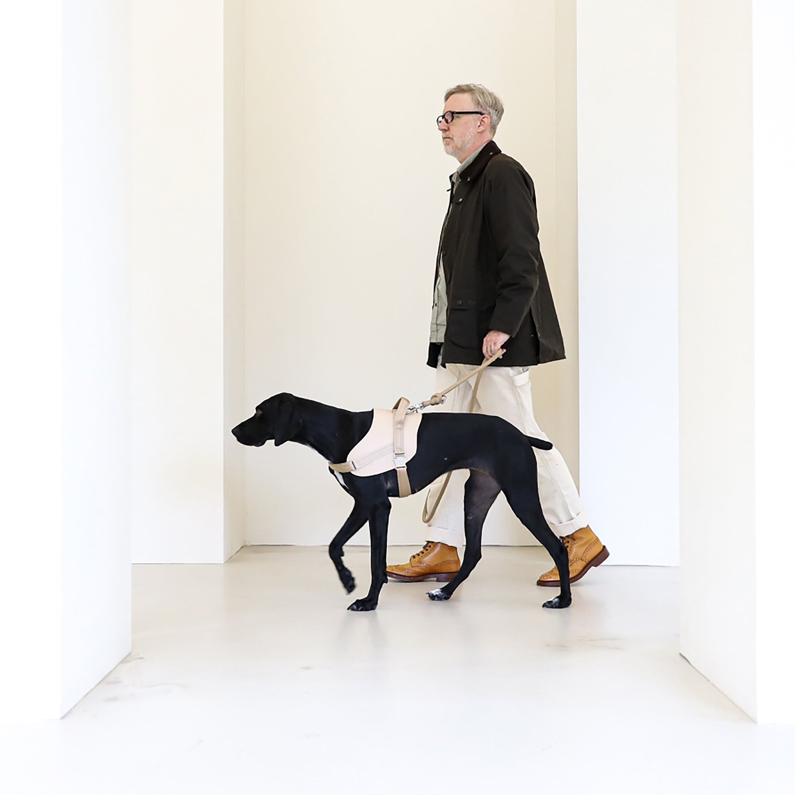 Saddle Harness Beige – Premium Adjustable Saddle Harness for Dogs | Glawn™ - Image 6