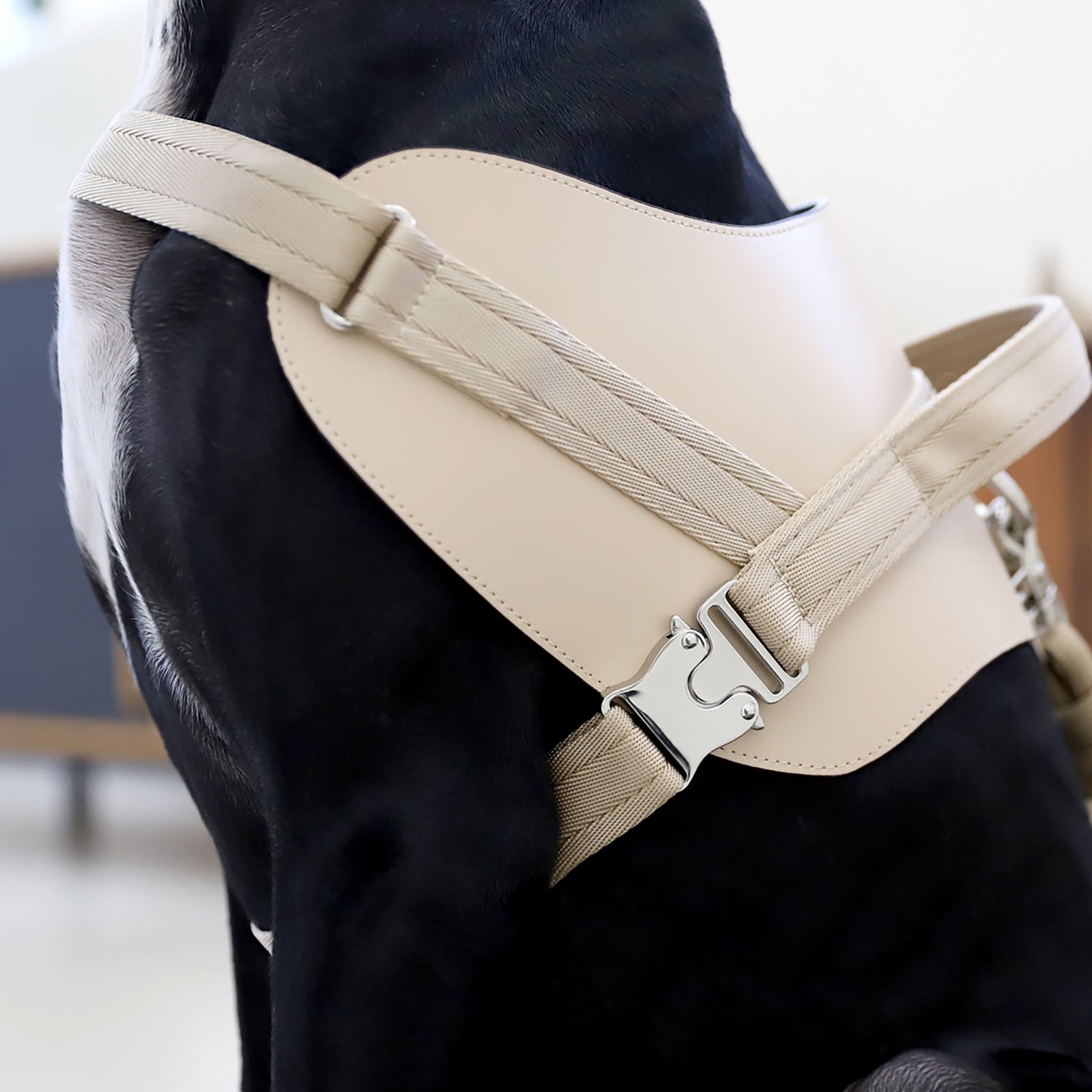 Saddle Harness Beige – Premium Adjustable Saddle Harness for Dogs | Glawn™ - Image 16