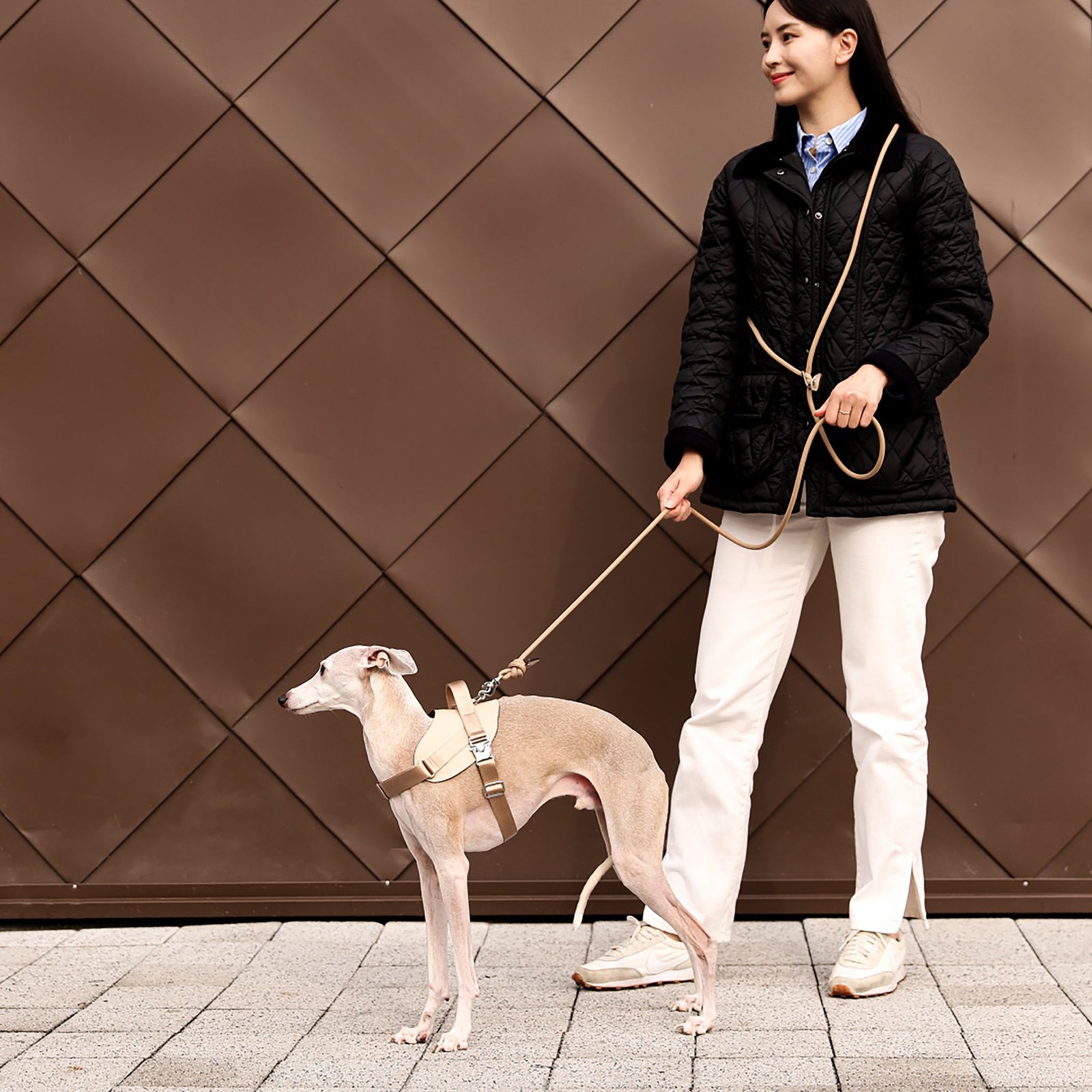 Saddle Harness Beige – Premium Adjustable Saddle Harness for Dogs | Glawn™ - Image 7