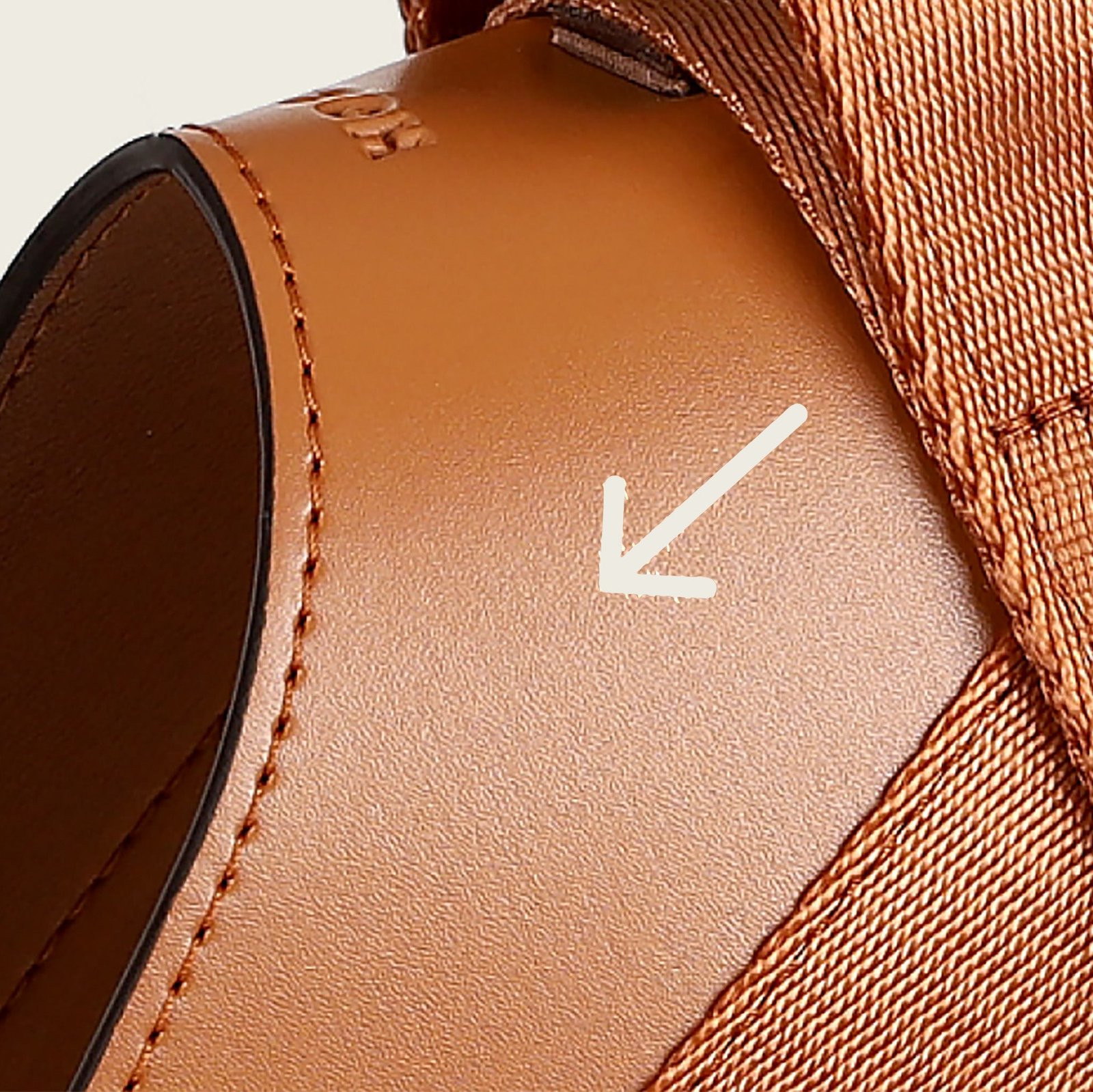 Saddle Harness Camel – Premium Adjustable Saddle Harness for Dogs | Glawn™ - Image 38