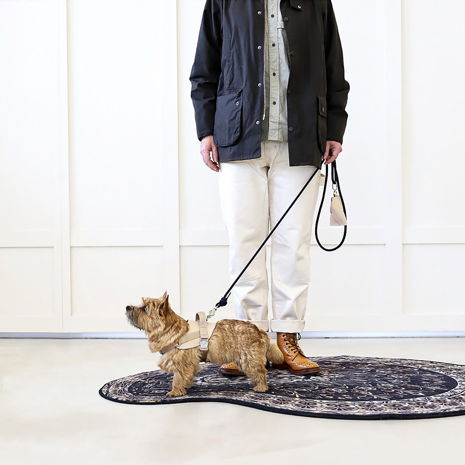 Saddle Harness Beige – Premium Adjustable Saddle Harness for Dogs | Glawn™ - Image 10