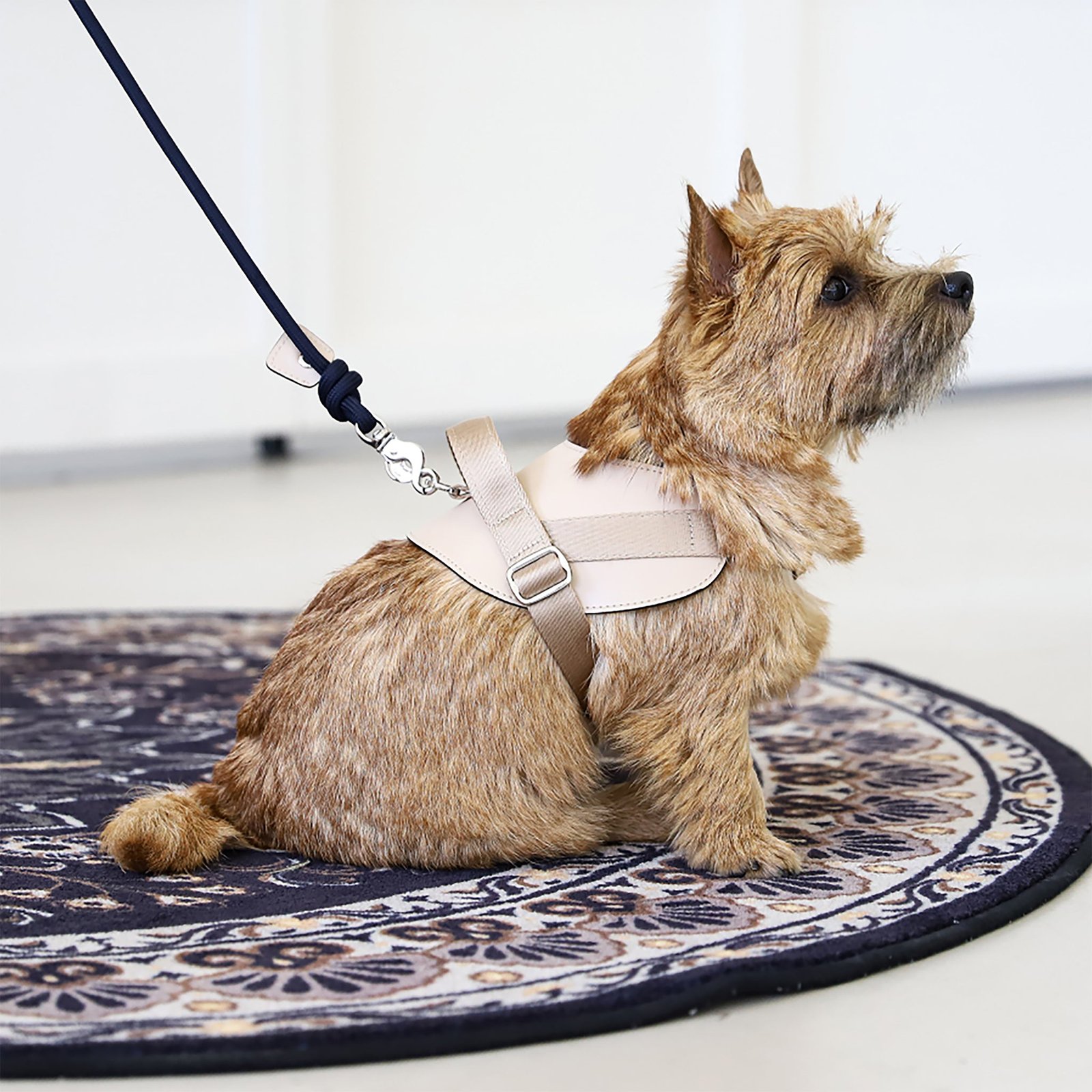 Saddle Harness Beige – Premium Adjustable Saddle Harness for Dogs | Glawn™ - Image 2