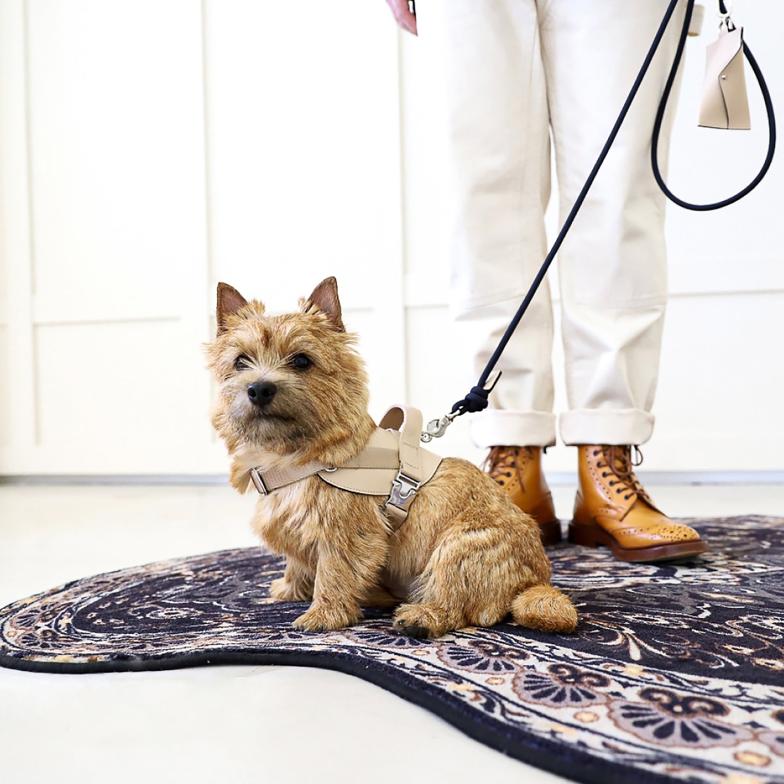 Saddle Harness Beige – Premium Adjustable Saddle Harness for Dogs | Glawn™ - Image 3