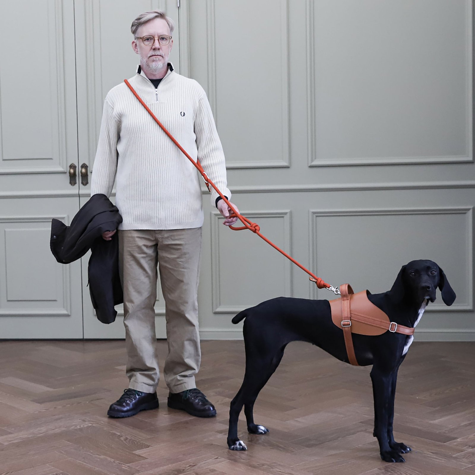 Saddle Harness Camel – Premium Adjustable Saddle Harness for Dogs | Glawn™ - Image 2