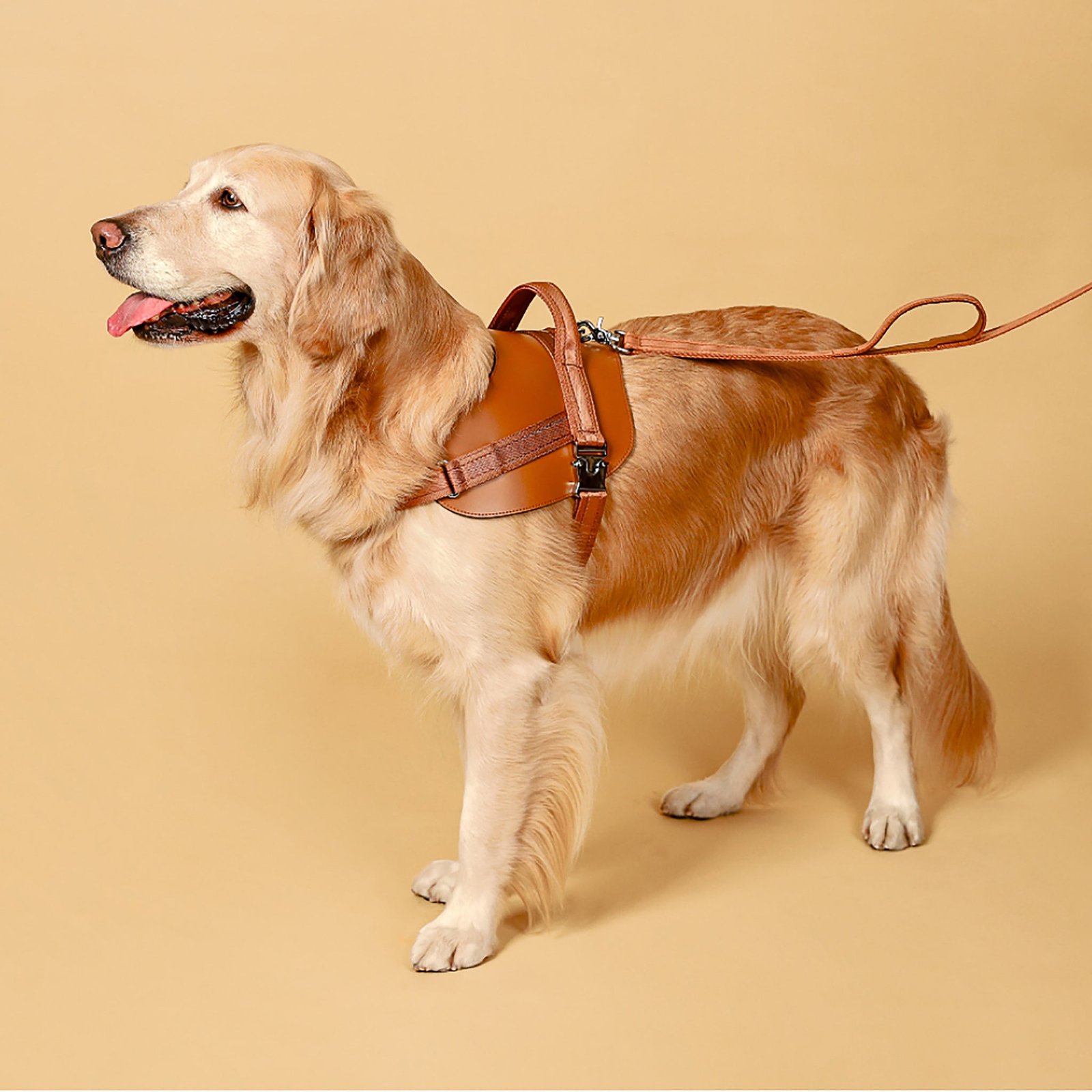 Saddle Harness Camel – Premium Adjustable Saddle Harness for Dogs | Glawn™ - Image 4
