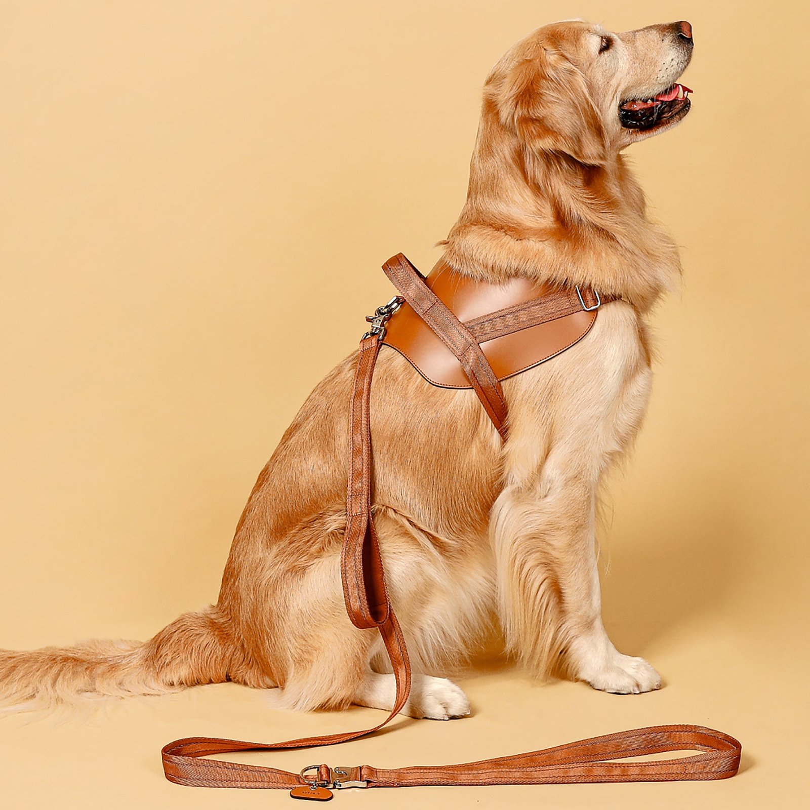 Saddle Harness Camel – Premium Adjustable Saddle Harness for Dogs | Glawn™ - Image 5