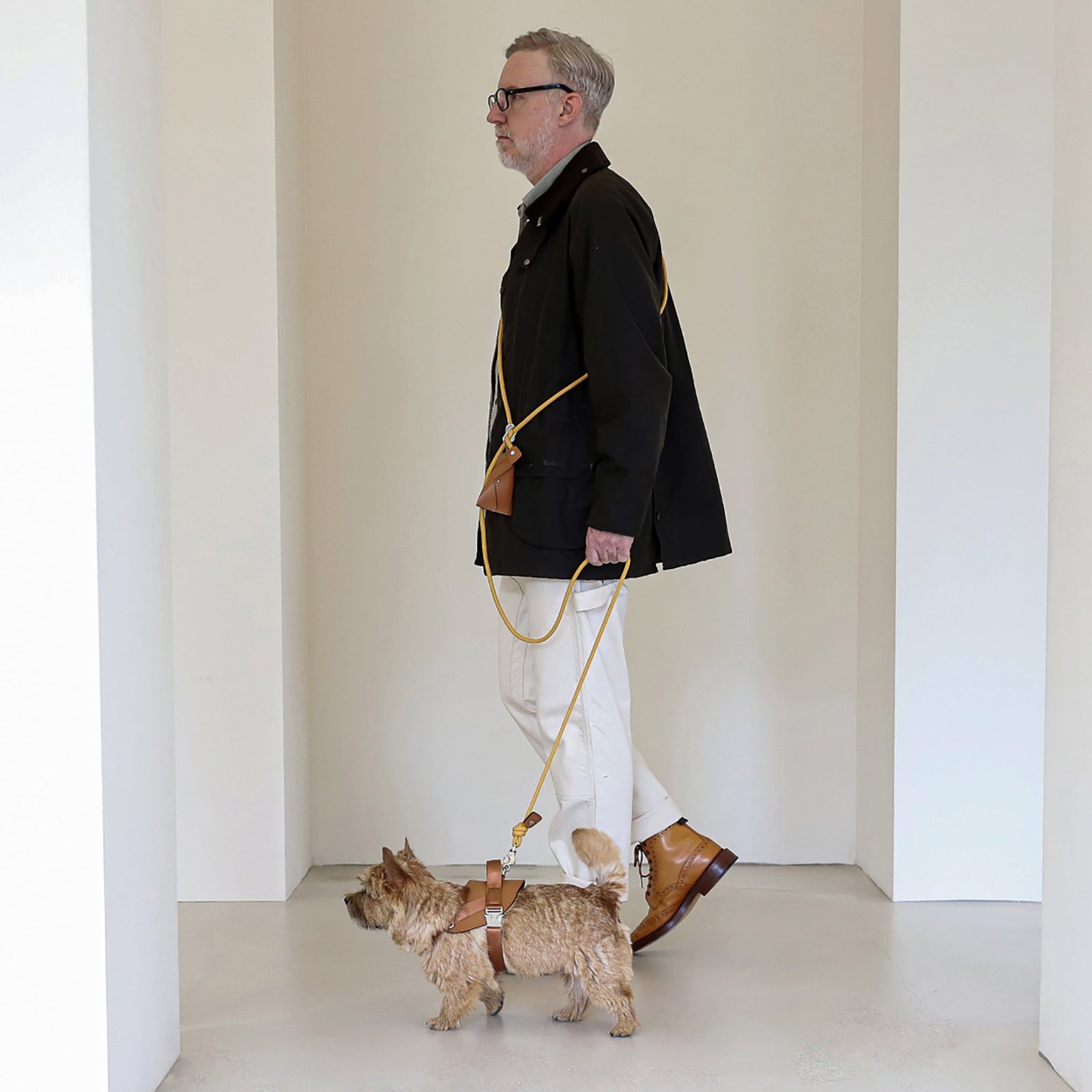 Saddle Harness Camel – Premium Adjustable Saddle Harness for Dogs | Glawn™ - Image 7