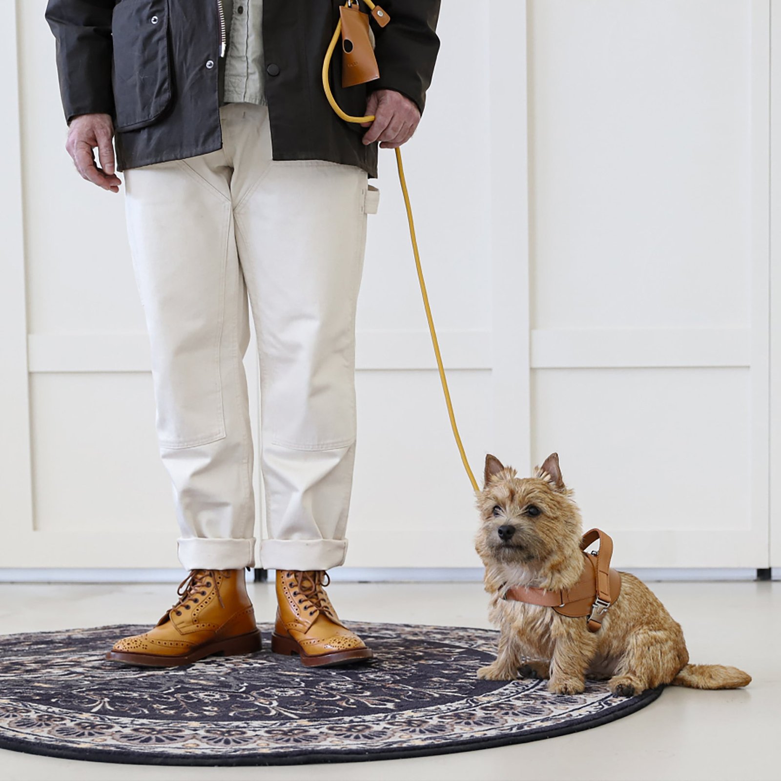 Saddle Harness Camel – Premium Adjustable Saddle Harness for Dogs | Glawn™ - Image 9