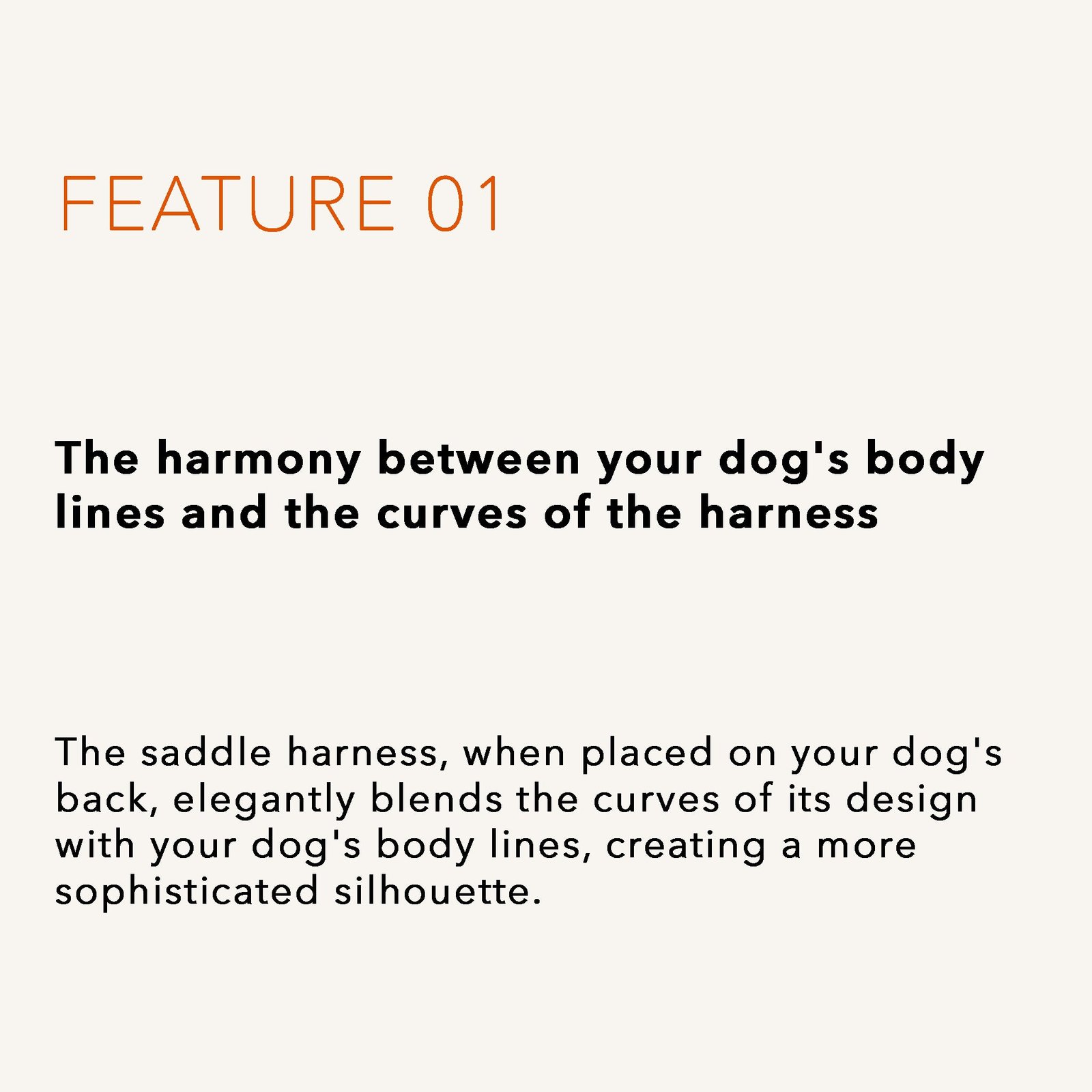 Saddle Harness Beige – Premium Adjustable Saddle Harness for Dogs | Glawn™ - Image 8