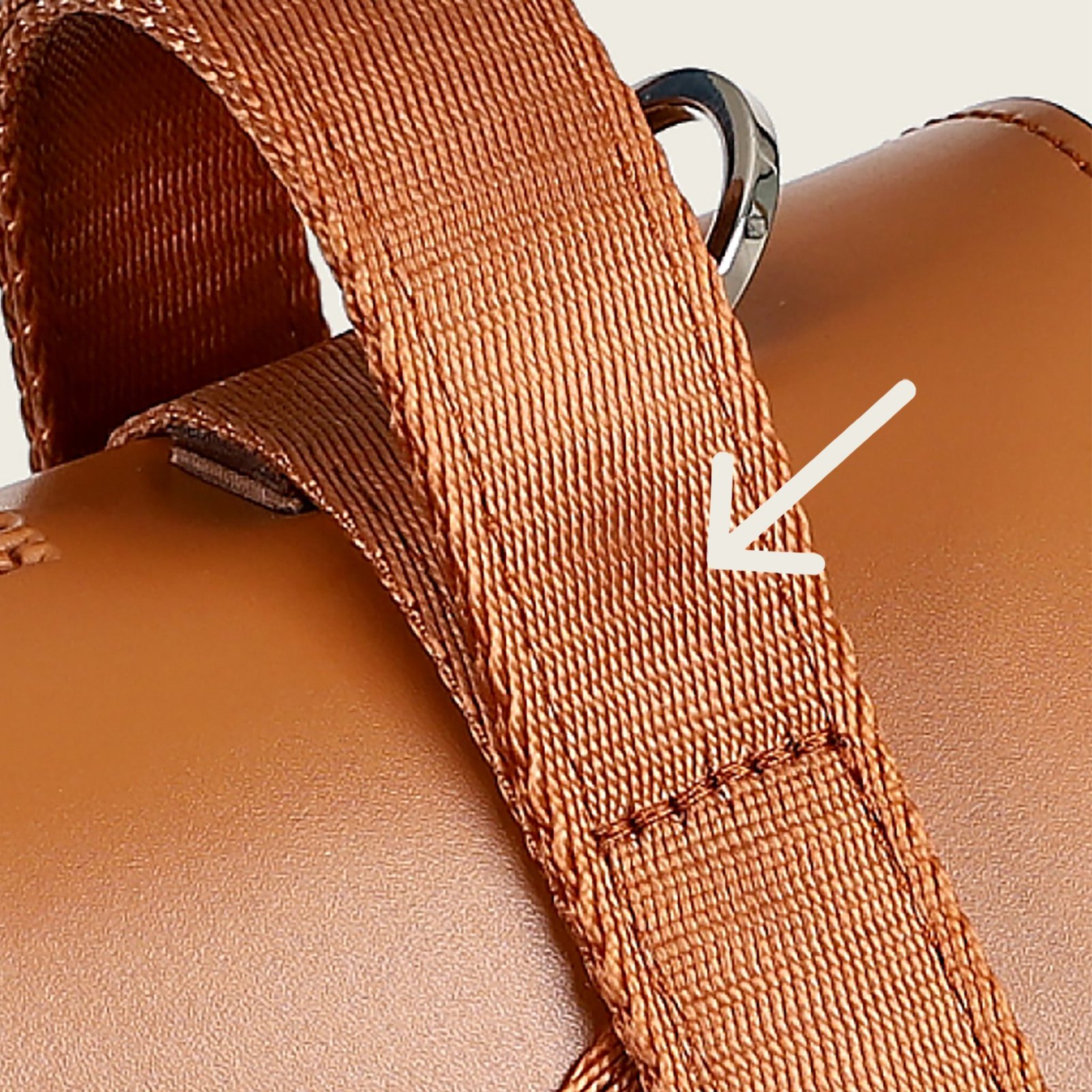 Saddle Harness Camel – Premium Adjustable Saddle Harness for Dogs | Glawn™ - Image 36